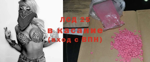 стаф Аркадак