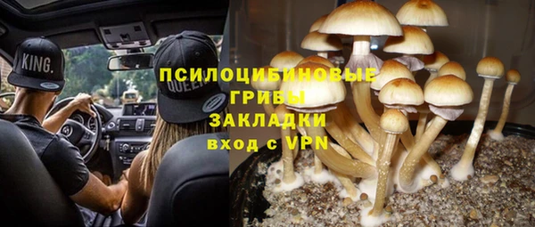 дживик Армянск