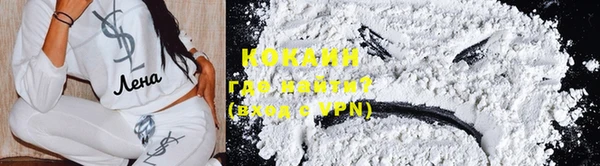 ПСИЛОЦИБИНОВЫЕ ГРИБЫ Абаза