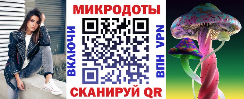 закладки  Вологда  Галлюциногенные грибы GOLDEN TEACHER 