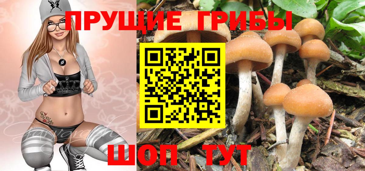 Вологда  продажа наркотиков  Вход с VPN  Галлюциногенные грибы ЛСД 
