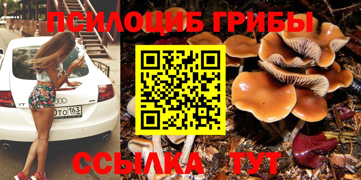 Псилоцибиновые грибы Magic Shrooms Вологда